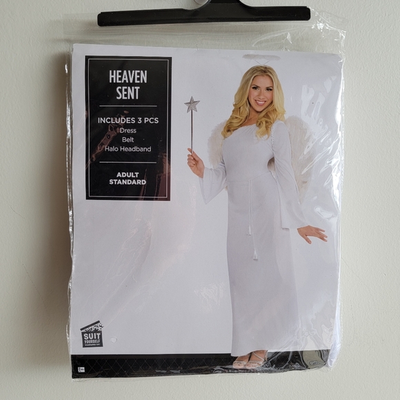 Angel Costume - Picture 1 of 5